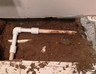 鸠江测漏水哪家好