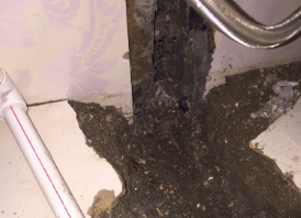 鸠江卫生间测漏水哪家好