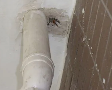 鸠江漏水检测哪家好